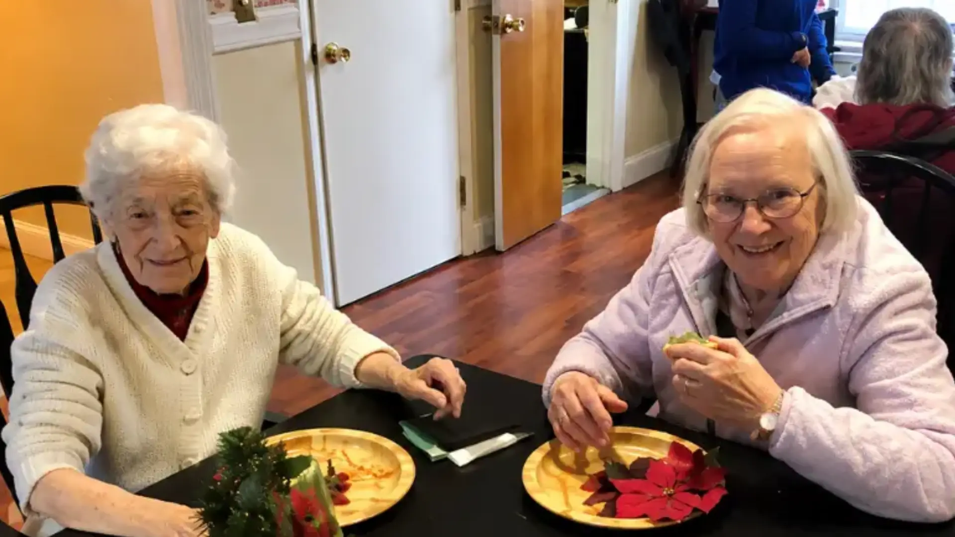 senior assisted living services